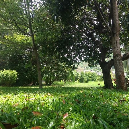 Cashew Nut Village บ่อผุด ภายนอก รูปภาพ